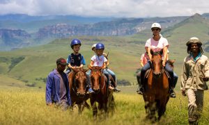 Horse Safari