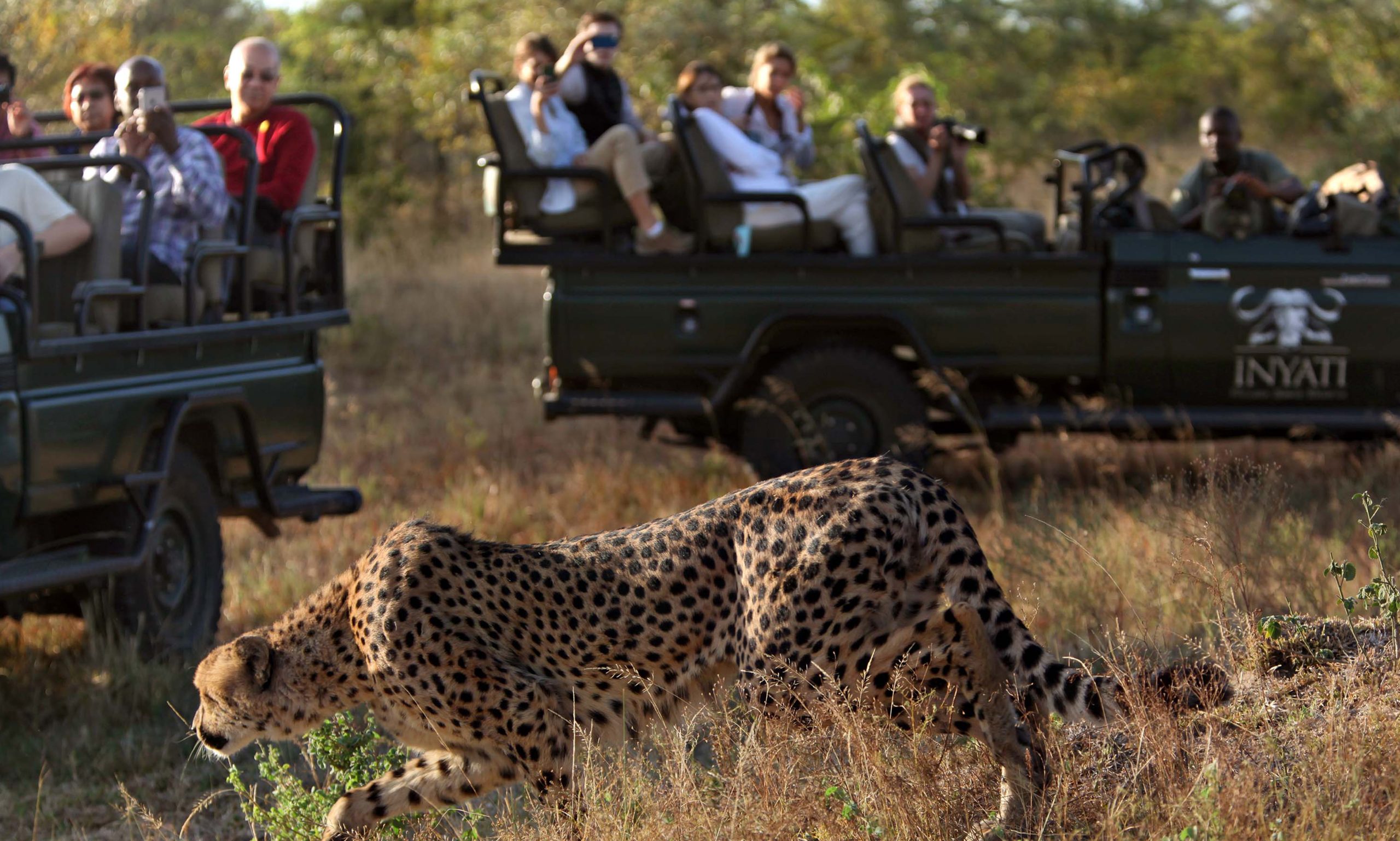 Kruger
