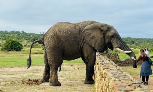 10 day travel itinerary - spa mariana