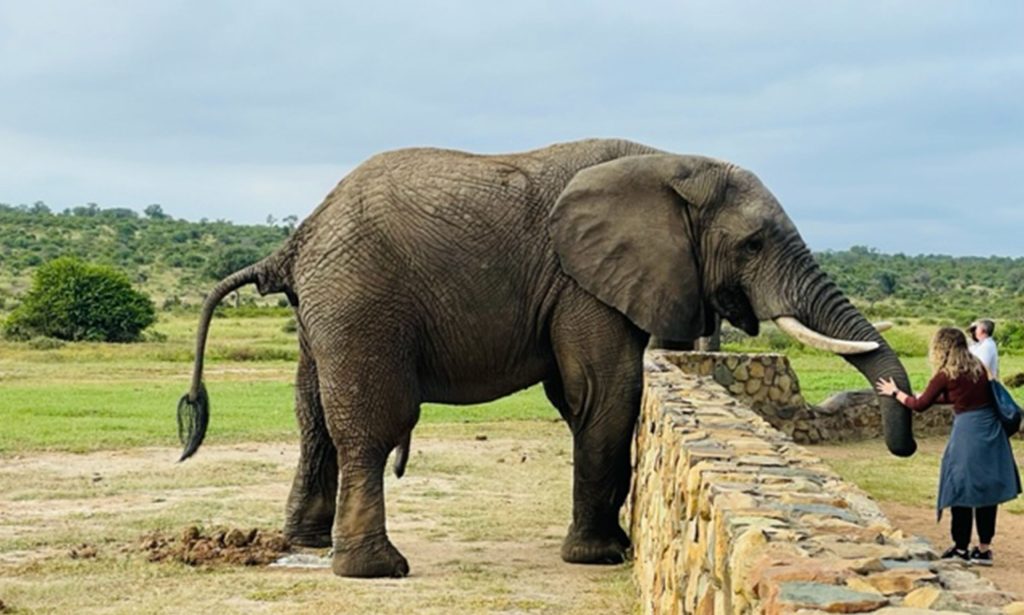 10 day travel itinerary - spa mariana